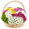 Корзина с цветами Цветочная поляна