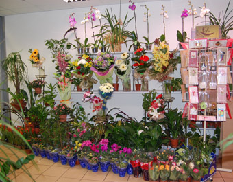 магазин цветов в минске